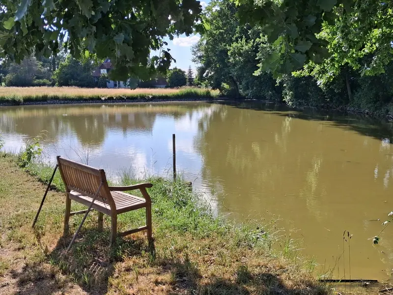 Karpfenweiher des Hofs Gößwein mit Sitzbank am Ufer in der fränkischen Landschaft
