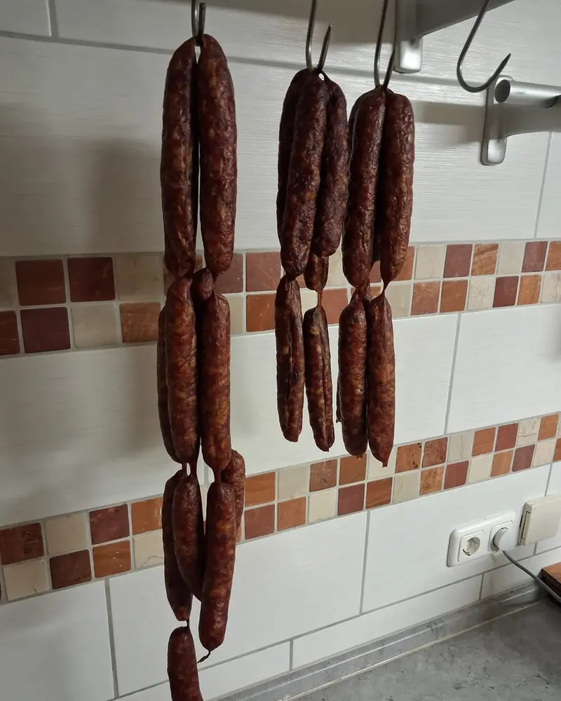 Geräucherte Bratwürste mit dunkler Haut, hängend zum Reifen an der Wand